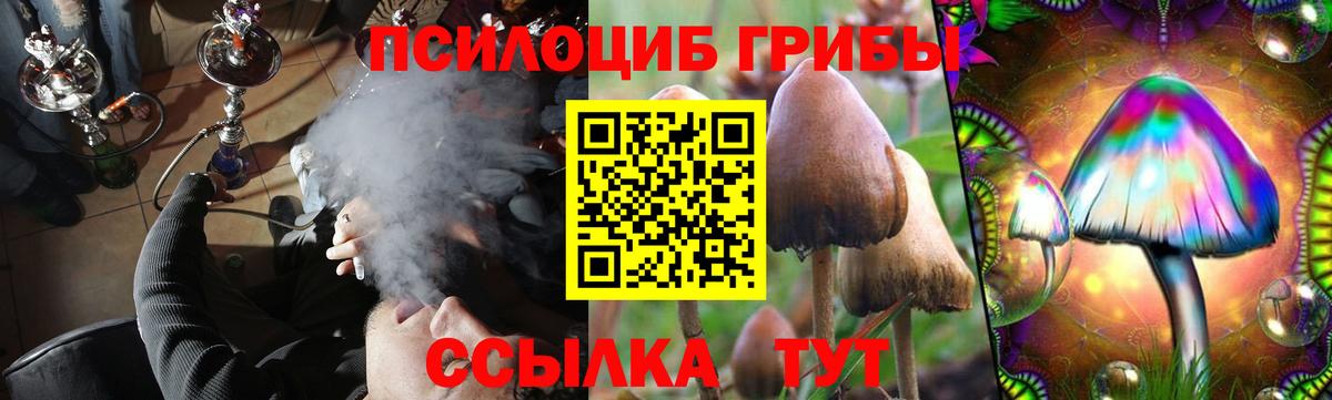 Алексин  Галлюциногенные грибы MAGIC MUSHROOMS  Вход с VPN 